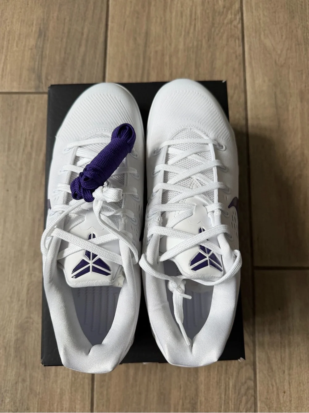 Nike Kobe IX Elite Low EM Protro
